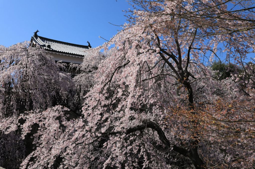 Bessho Onsen/Isawa Onsen 2 nights 3 days trip